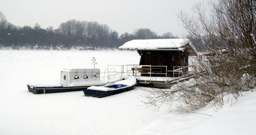 Zale�ena Sava 2012